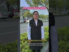 P8668i цифровой взрывостойкий интерком DP4801E высокой мощности